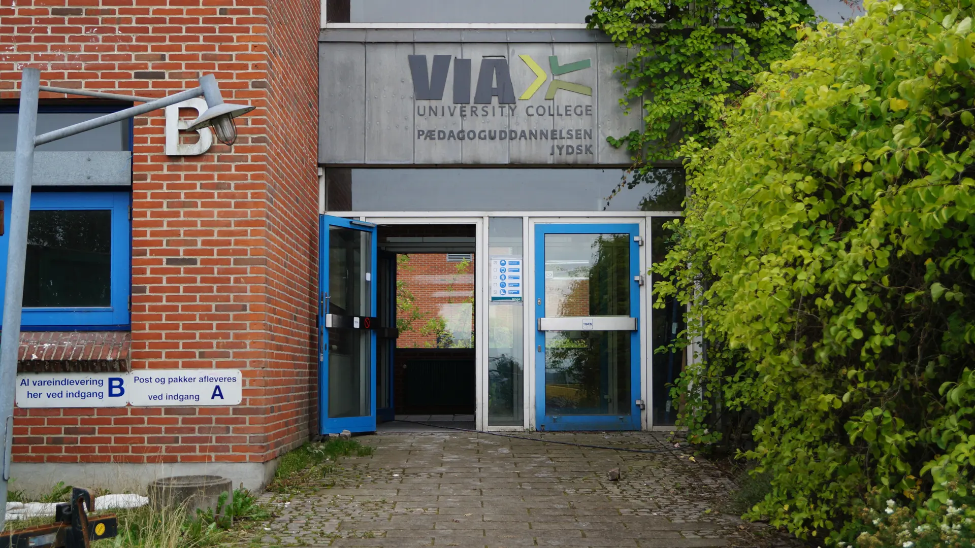 Paedagoguddannelsen Jydsk