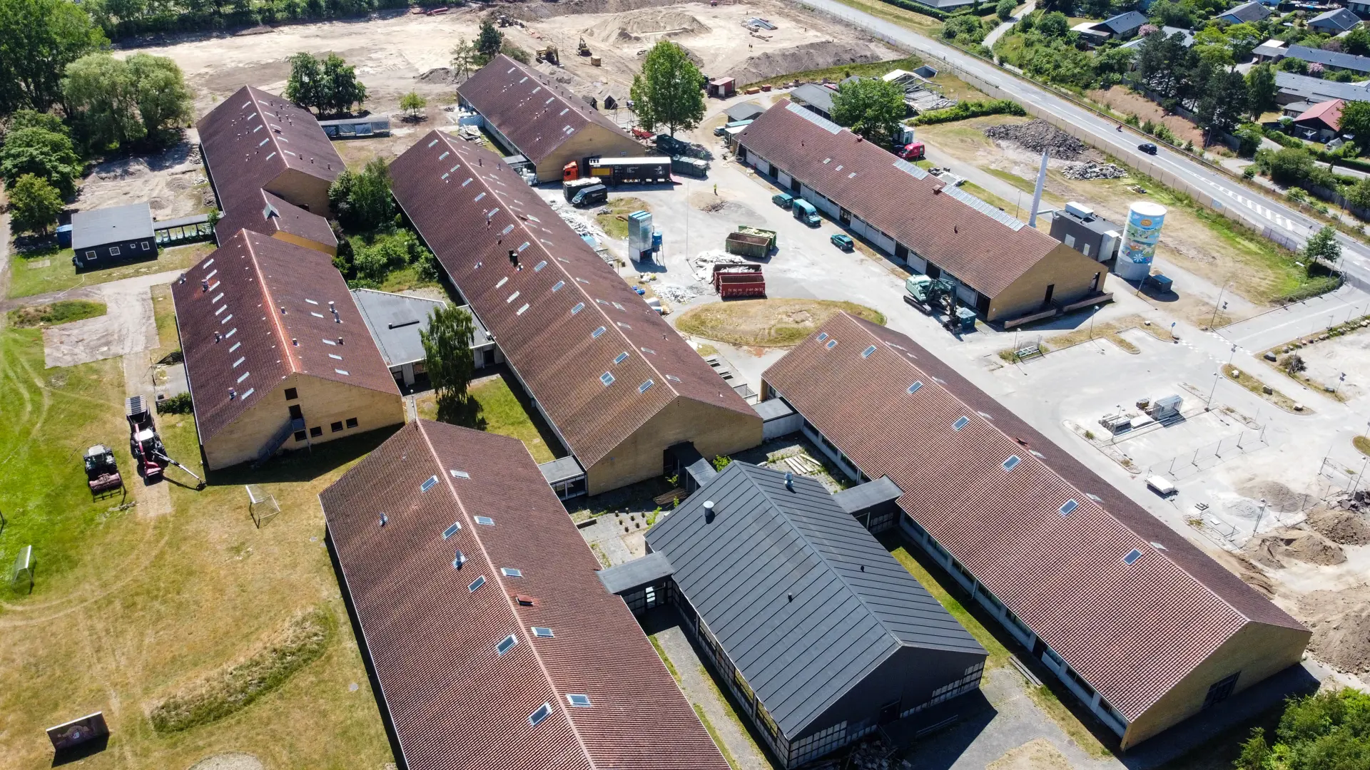 Næste_genbrugstræ fra Toftehøjskolen_bygninger