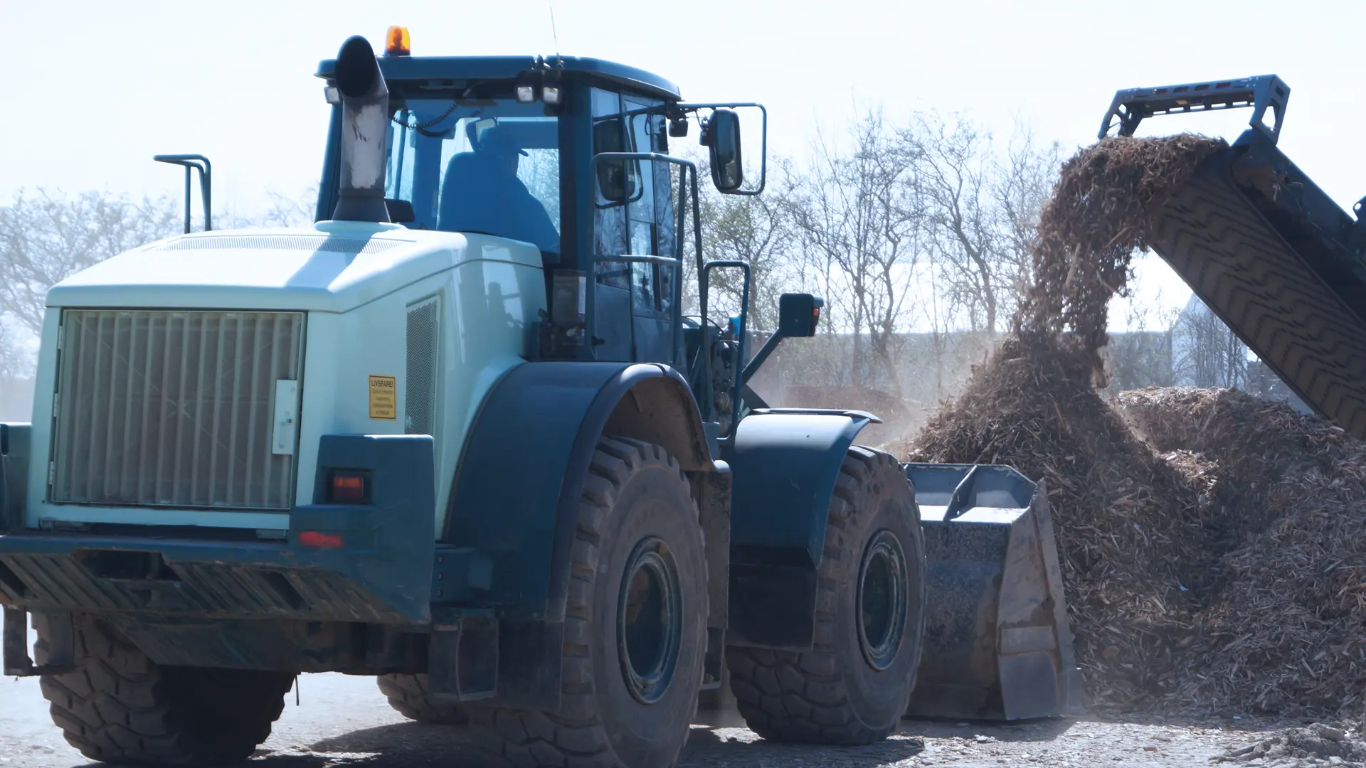 Genanvendelse Af Trae