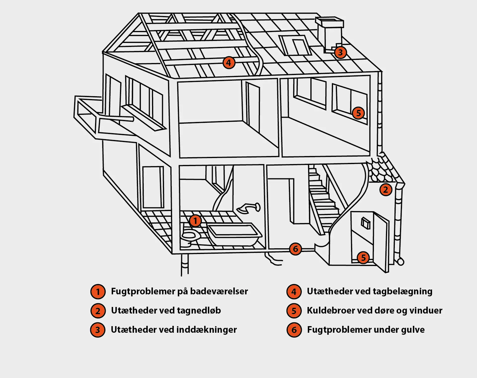 Illustration Af Skimmelsvamp I Huset 2