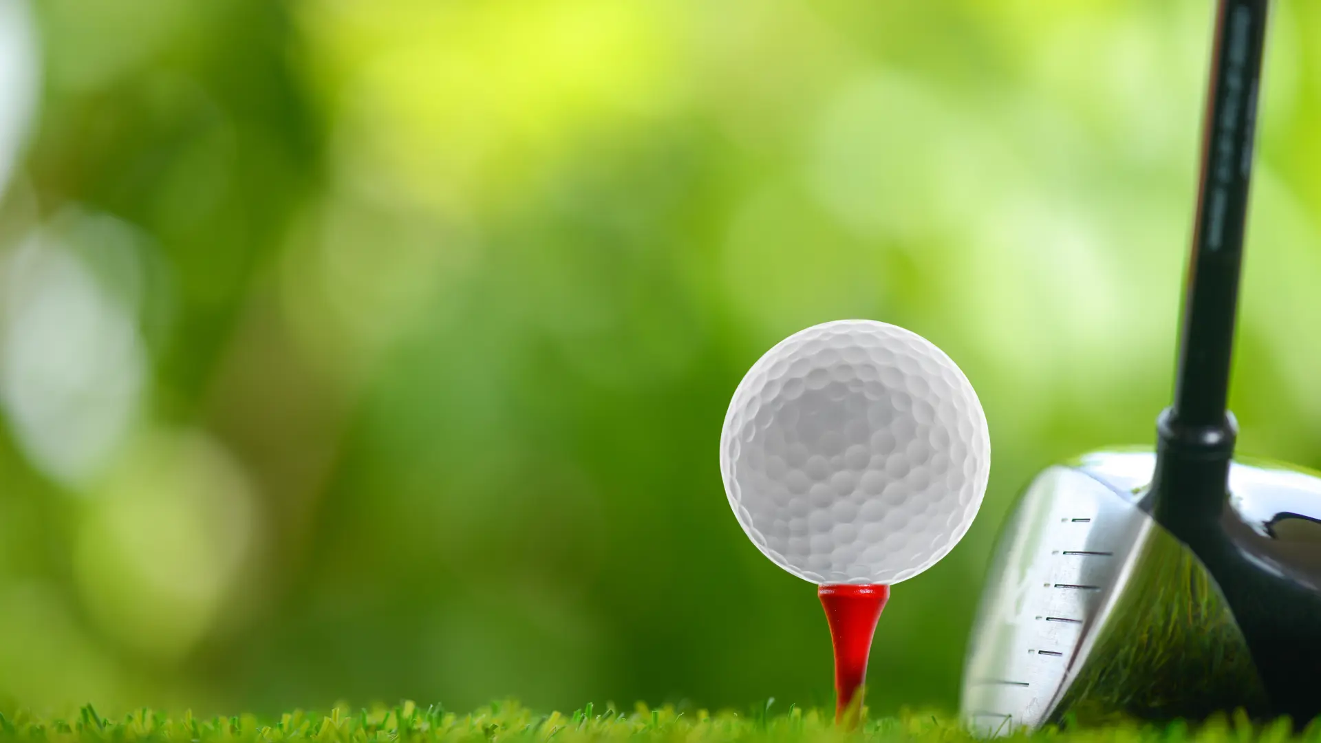 Shutterstock 468610040