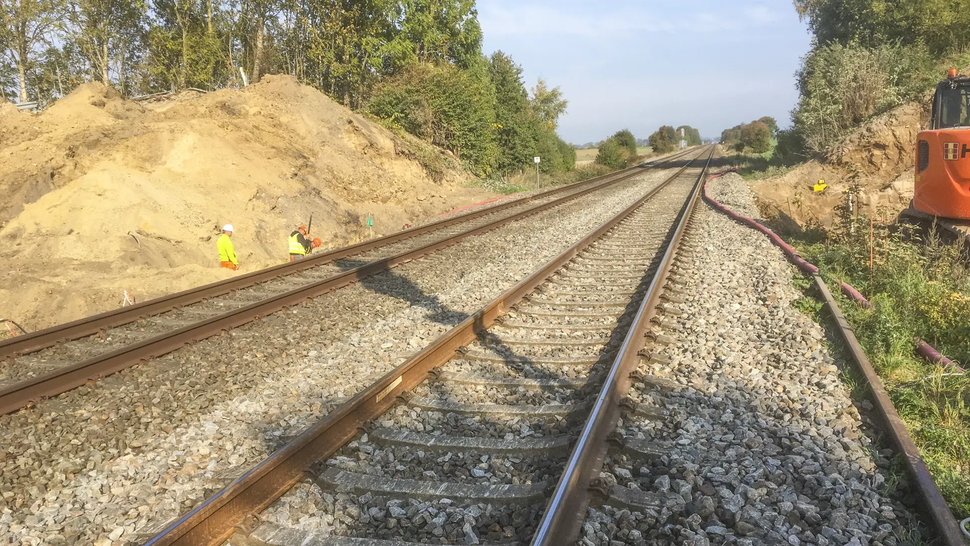 Den Lille Bro Er Fjernet