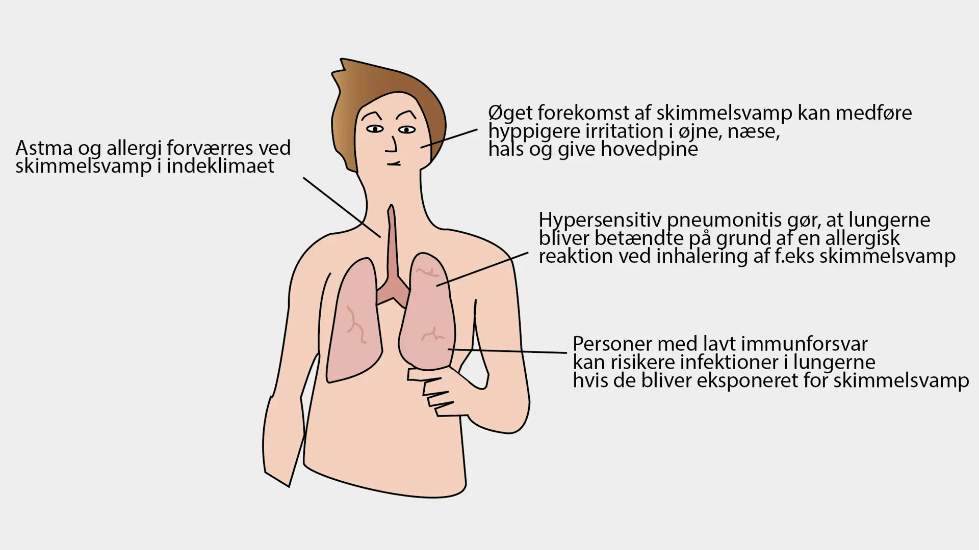 Skimmelsvamp Er Farligt 1